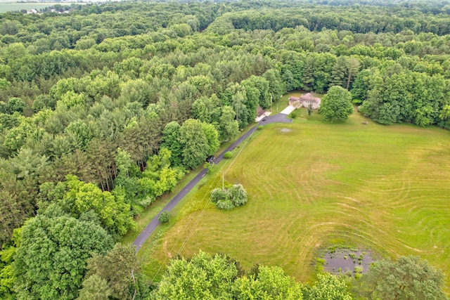 5852 Pinkerton Rd, Vassar, MI 48768 - aerial view of sparsely populated area with a forest