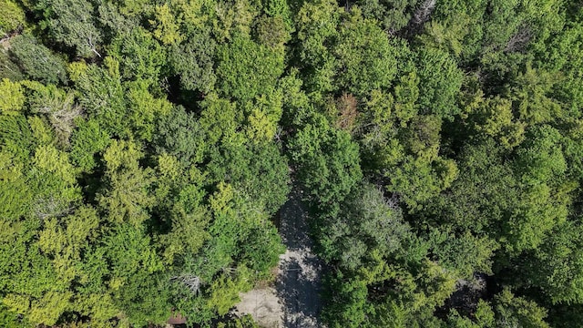 13035 N Forest Bch, Northport, MI 49670 - photo 74