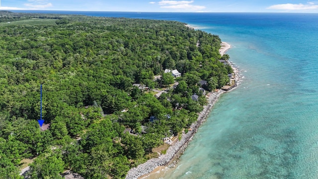 13035 N Forest Bch, Northport, MI 49670 - photo 86