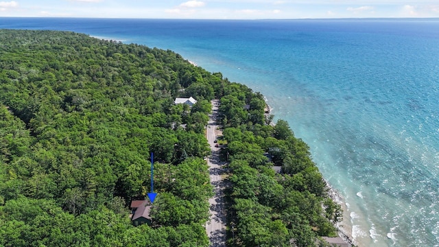13035 N Forest Bch, Northport, MI 49670 - photo 87