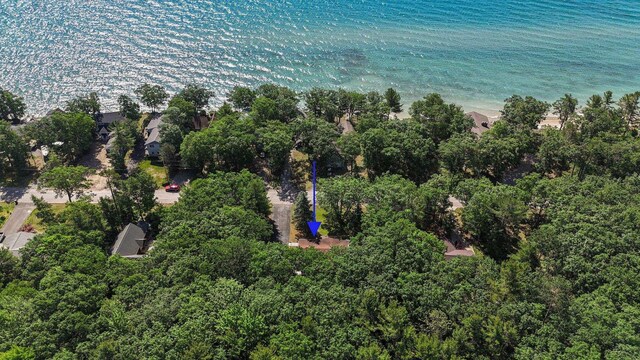 13035 N Forest Bch, Northport, MI 49670 - photo 90