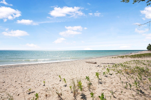 13035 N Forest Bch, Northport, MI 49670 - photo 67