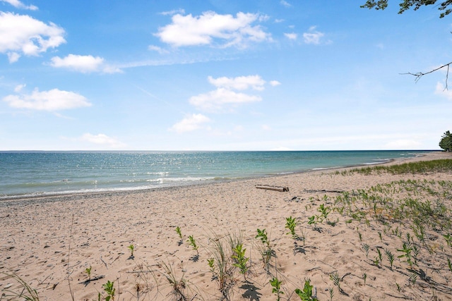 13035 N Forest Bch, Northport, MI 49670 - photo 66
