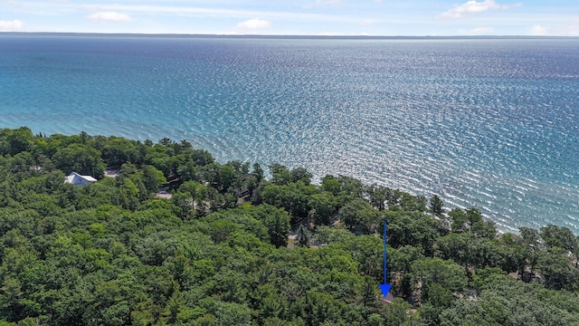 13035 N Forest Bch, Northport, MI 49670 - photo 89