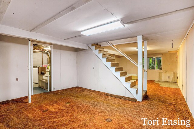 4366 Woods Rd, Sidney, MI 48885 - basement featuring stairs and carpet flooring