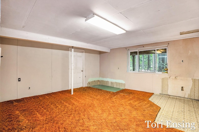 4366 Woods Rd, Sidney, MI 48885 - view of basement