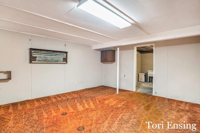 4366 Woods Rd, Sidney, MI 48885 - finished basement featuring carpet flooring