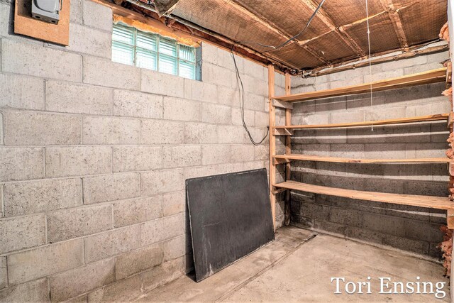 4366 Woods Rd, Sidney, MI 48885 - view of below grade area