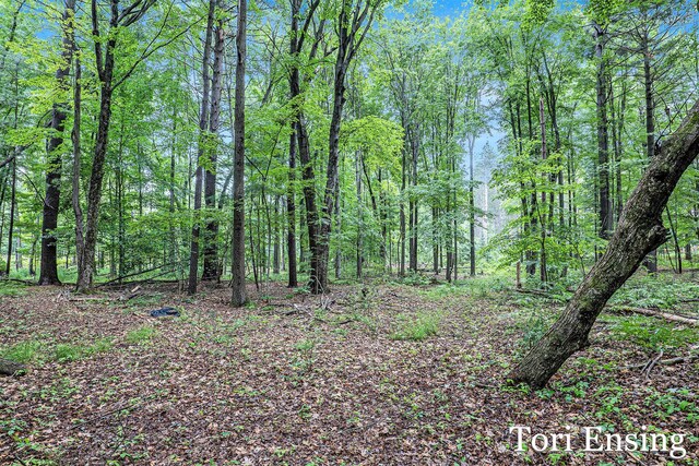 4366 Woods Rd, Sidney, MI 48885 - view of woods