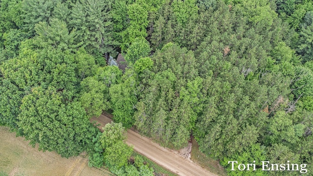 4366 Woods Rd, Sidney, MI 48885 - view of property location