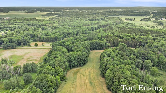 4366 Woods Rd, Sidney, MI 48885 - view of property location