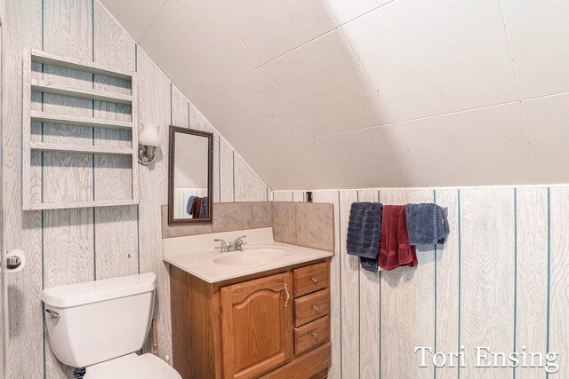 4366 Woods Rd, Sidney, MI 48885 - half bath with vaulted ceiling and vanity
