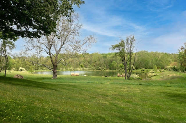 10185 N 650 E, Indiana, IN 46552 - view of green lawn featuring a water view