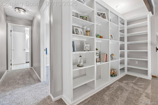 220 E Rolston Rd, Linden, MI 48451 - hall featuring carpet flooring and baseboards