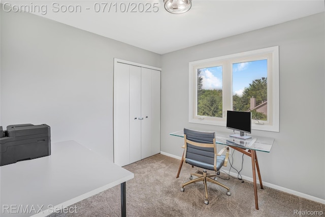 220 E Rolston Rd, Linden, MI 48451 - home office with carpet and baseboards