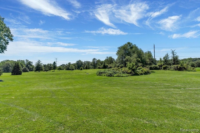 11068 Meadowview Dr, Goodrich, MI 48438 - view of green lawn