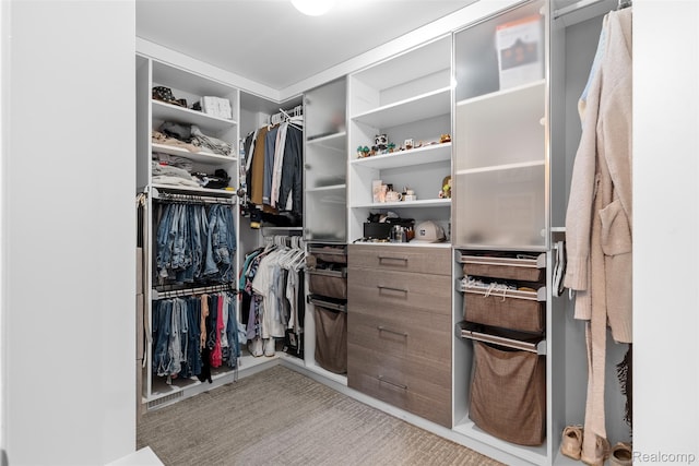 11068 Meadowview Dr, Goodrich, MI 48438 - view of spacious closet