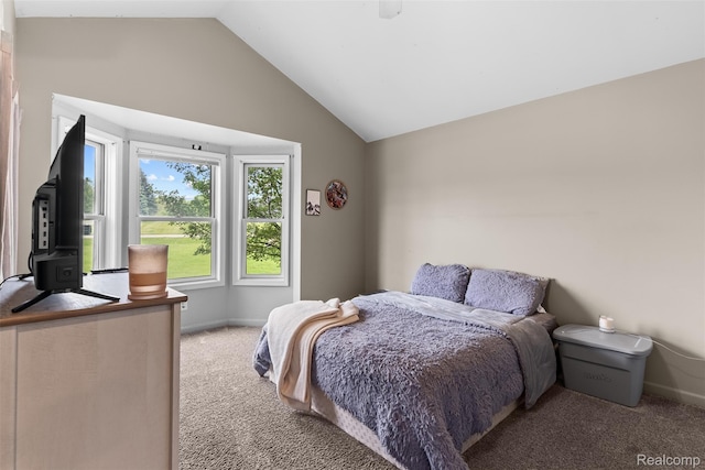 11068 Meadowview Dr, Goodrich, MI 48438 - bedroom with light carpet and vaulted ceiling