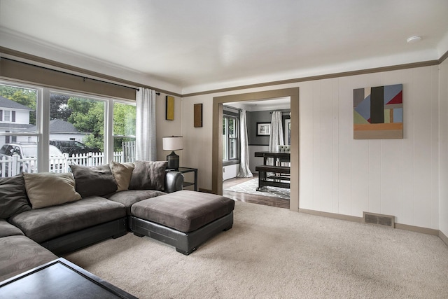 1115 Reycraft Dr, Kalamazoo, MI 49001 - living room with carpet and baseboards