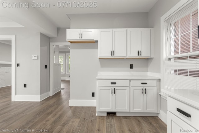 4115 Montgomery St, Detroit, MI 48204 - kitchen with white cabinets, wood finished floors, and light countertops