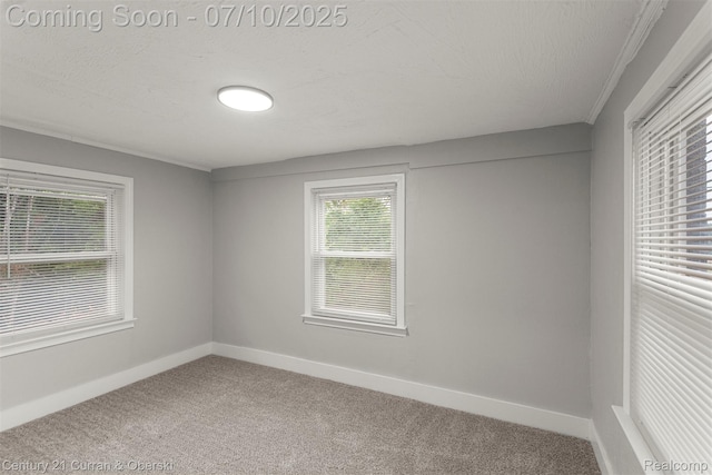 4115 Montgomery St, Detroit, MI 48204 - carpeted empty room with baseboards
