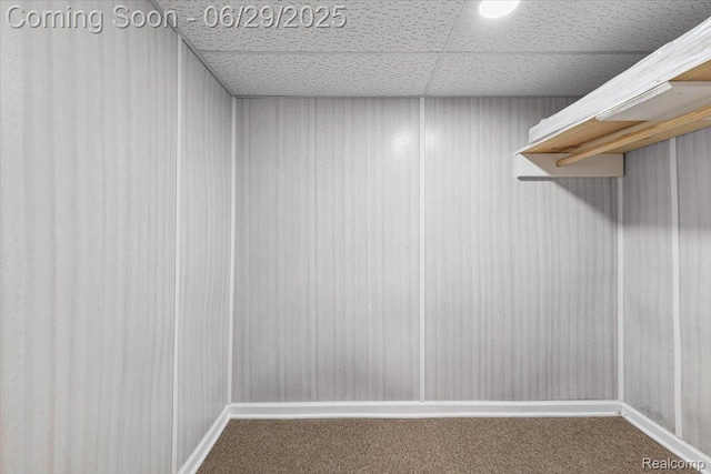 103 Elm St, River Rouge, MI 48218 - spacious closet featuring carpet floors and a paneled ceiling