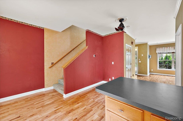 366 Marshall St, Ferndale, MI 48220 - kitchen featuring a ceiling fan, light wood-style flooring, crown molding, and dark countertops