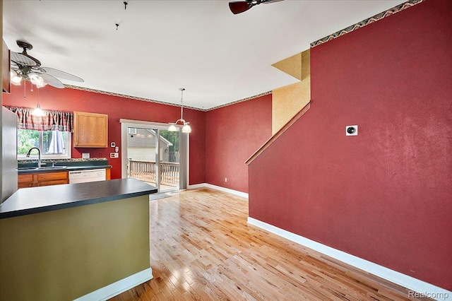 366 Marshall St, Ferndale, MI 48220 - kitchen with a ceiling fan, dark countertops, dishwasher, and healthy amount of natural light