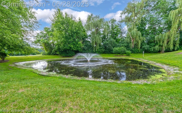 31514 Orchard Crk, Farmington Hills, MI 48334 - water view
