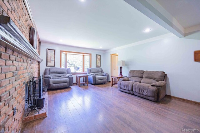 21128 Middlebelt Rd, New Boston, MI 48164 - living room featuring a wood stove, wood finished floors, and recessed lighting