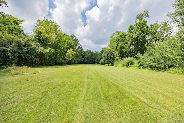 21128 Middlebelt Rd, New Boston, MI 48164 - view of green lawn
