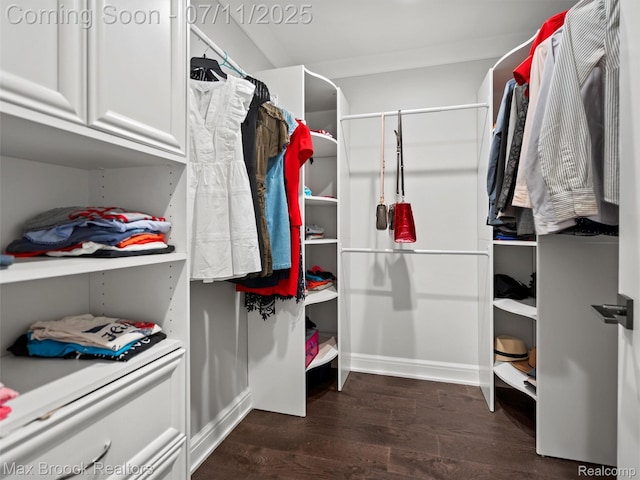 295 S Cranbrook Rd, Birmingham, MI 48009 - walk in closet featuring dark wood finished floors