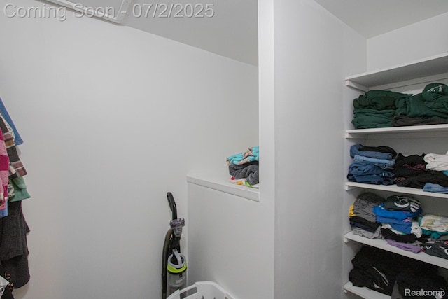 50191 N Angelo Ct, Chesterfield, MI 48047 - view of walk in closet