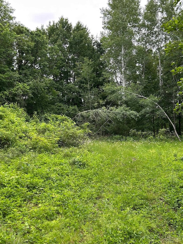 0 N Broncos Dr, Sanford, MI 48657 - photo 6