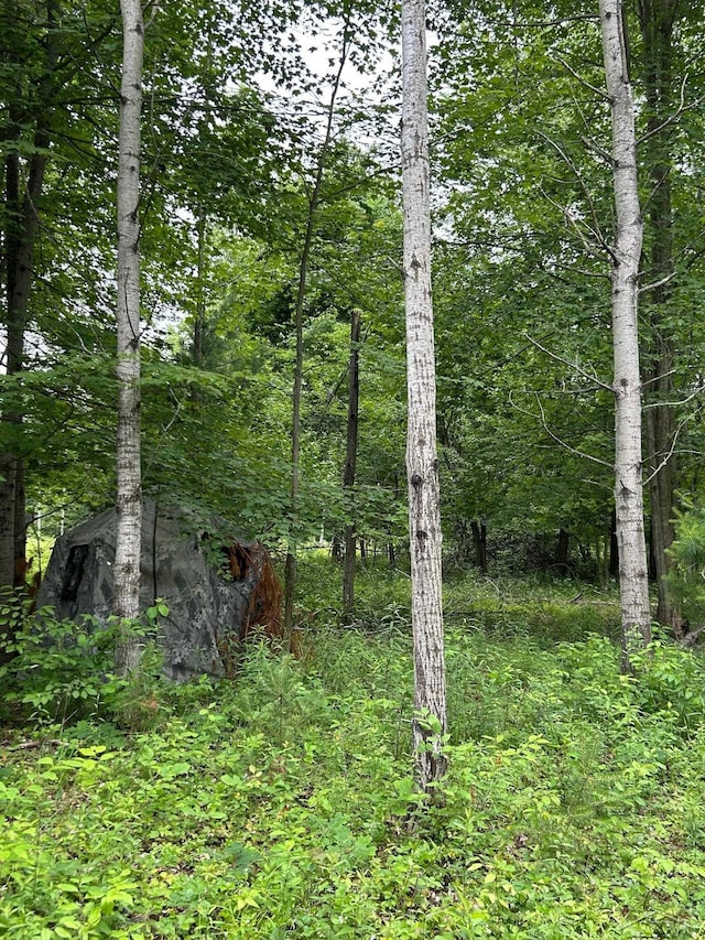 0 N Broncos Dr, Sanford, MI 48657 - photo 7
