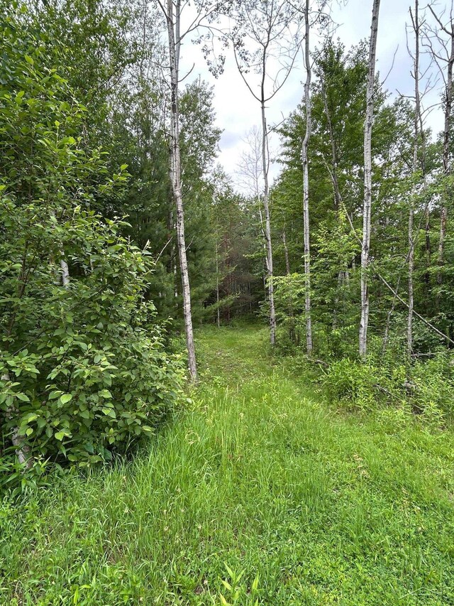 0 N Broncos Dr, Sanford, MI 48657 - photo 5