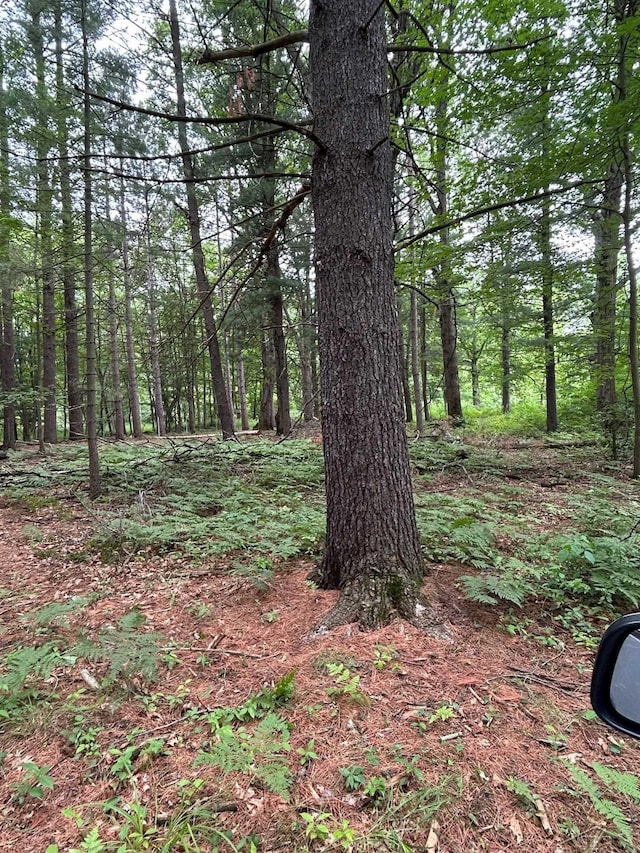 0 N Broncos Dr, Sanford, MI 48657 - photo 8