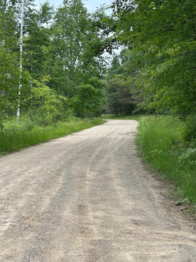 0 N Broncos Dr, Sanford, MI 48657 - photo 2