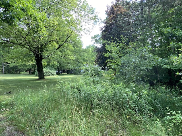 872 S Ransom Rd, White Cloud, MI 49349 - photo 26