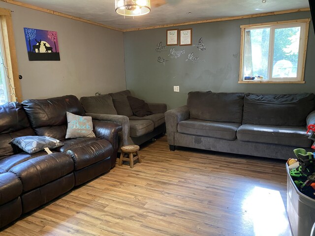 872 S Ransom Rd, White Cloud, MI 49349 - photo 8
