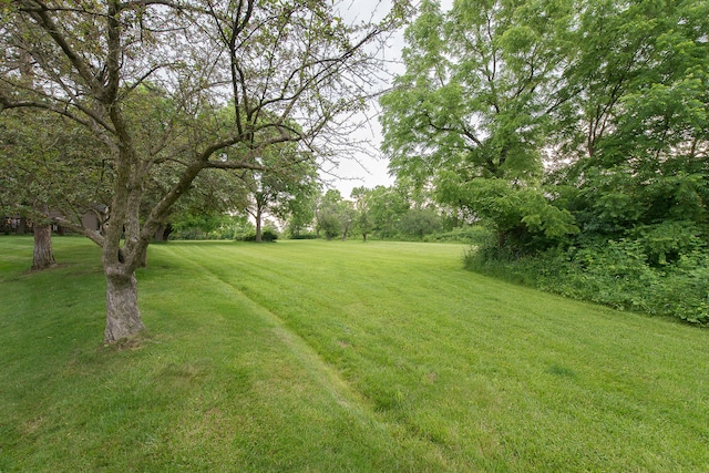 2014 Audubon Dr, Ann Arbor, MI 48103 - photo 40