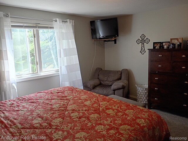 1361 Mckimmy Dr, Beaverton, MI 48612 - photo 22