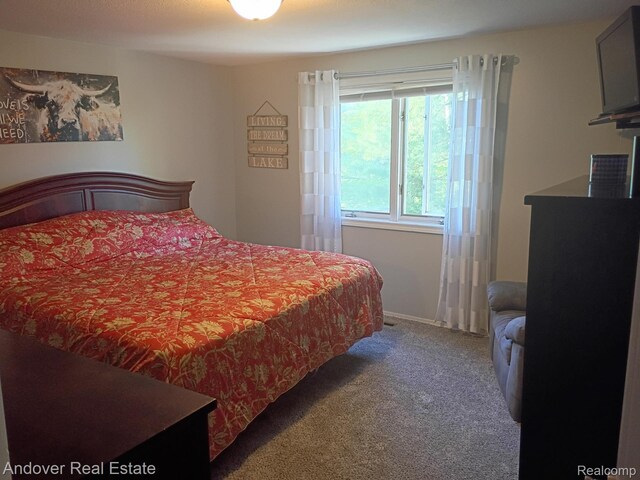 1361 Mckimmy Dr, Beaverton, MI 48612 - photo 30