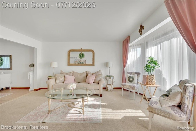 46655 Spruce Dr, Shelby Twp, MI 48315 - carpeted living room featuring baseboards