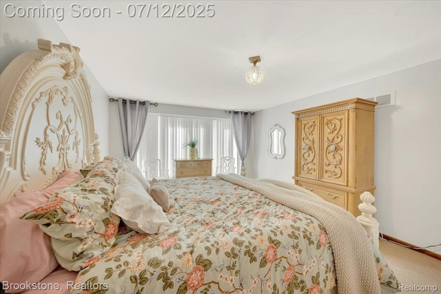 46655 Spruce Dr, Shelby Twp, MI 48315 - view of carpeted bedroom