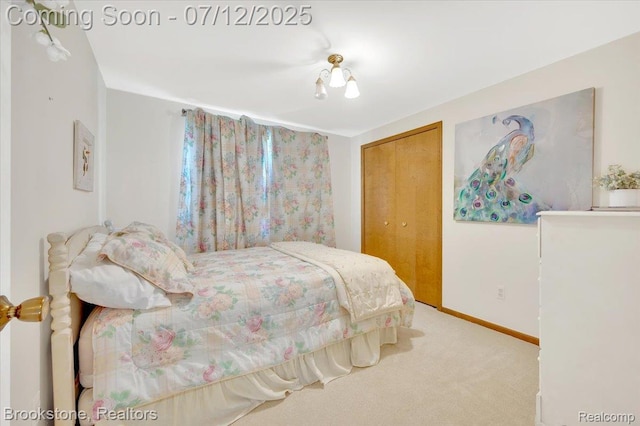 46655 Spruce Dr, Shelby Twp, MI 48315 - bedroom with carpet and a closet