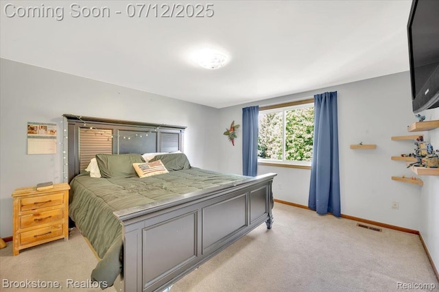 46655 Spruce Dr, Shelby Twp, MI 48315 - bedroom featuring baseboards and light carpet