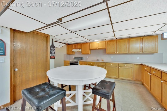 46655 Spruce Dr, Shelby Twp, MI 48315 - kitchen featuring stainless steel range oven, under cabinet range hood, light countertops, and a drop ceiling