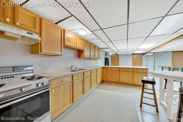 46655 Spruce Dr, Shelby Twp, MI 48315 - kitchen featuring white gas stove, under cabinet range hood, light countertops, and a peninsula