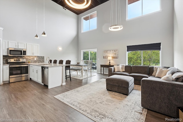 293 N 2nd St Unit 106, Brighton, MI 48116 - living area featuring high vaulted ceiling, wood finished floors, and beamed ceiling